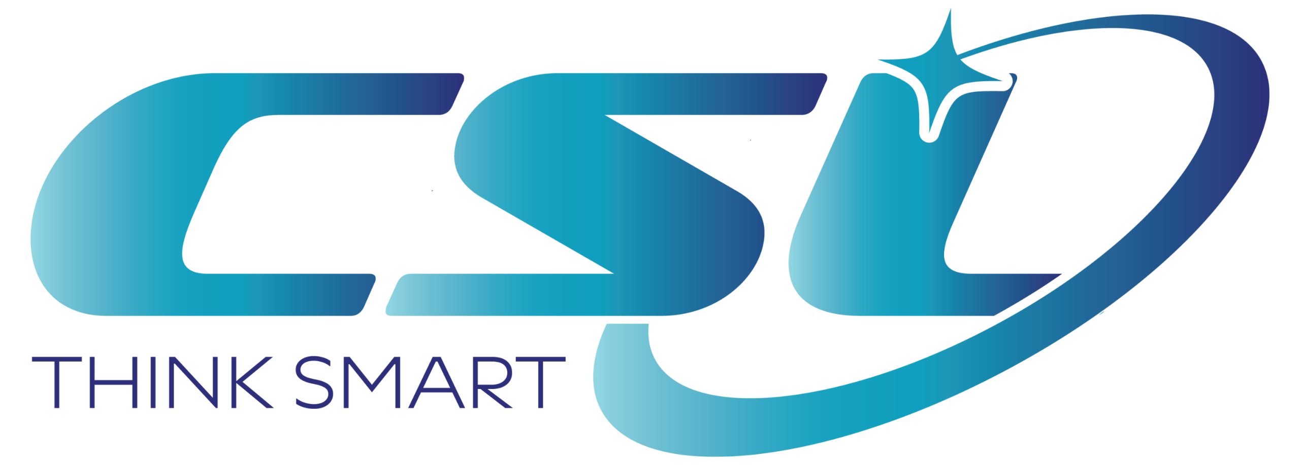 Computer Services Limited